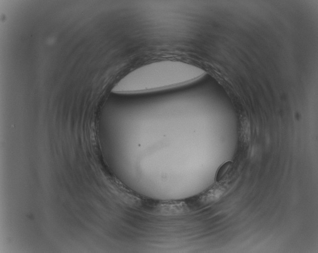 X0000074340571200608251048