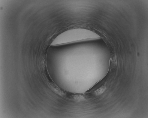 X0000074340572200608251048