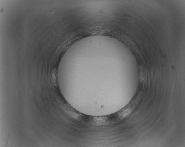 X0000074340573200608251048