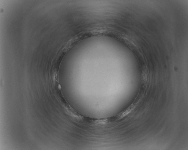 X0000074340574200608251048