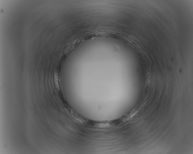 X0000074340575200608251048