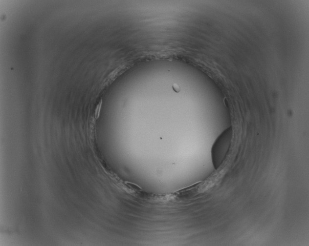 X0000074340576200608251048