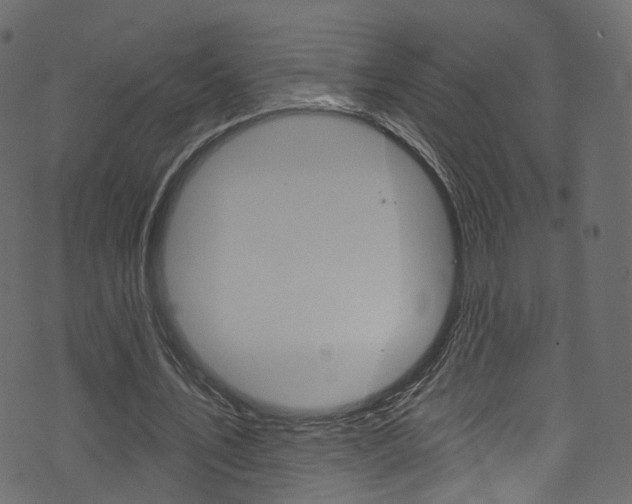 X0000074340579200608251047