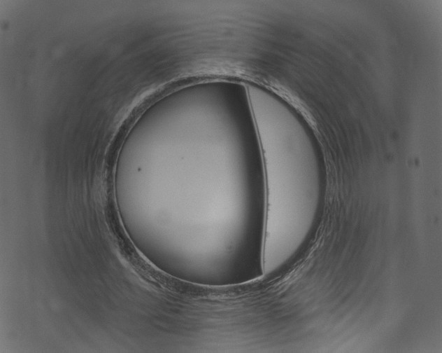 X0000074340580200608251047