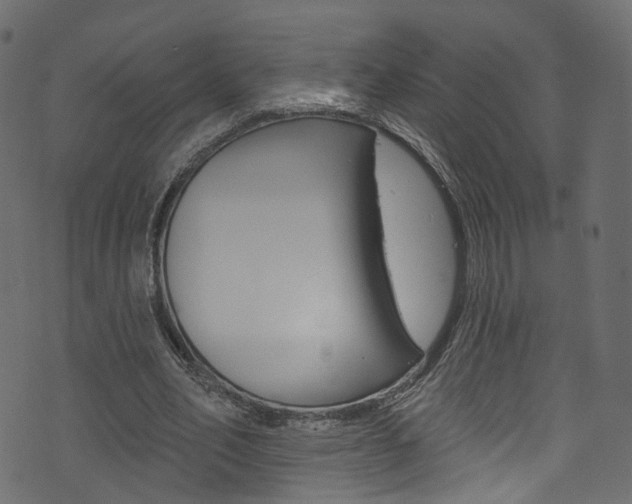 X0000074340582200608251047