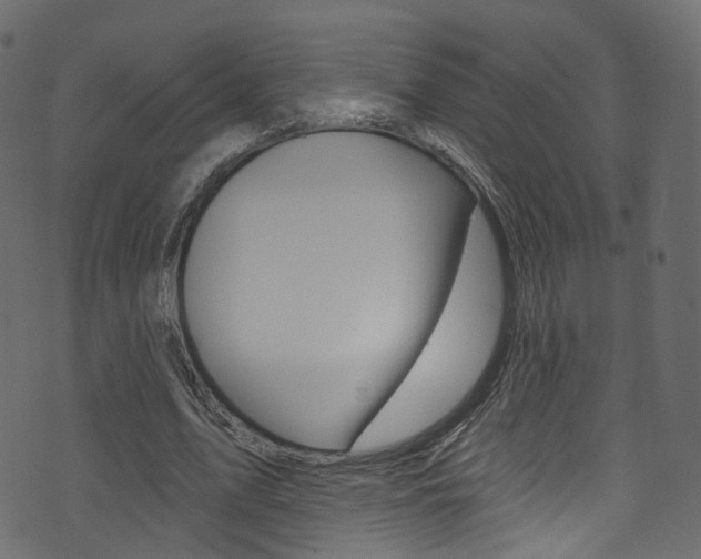 X0000074340583200608251047