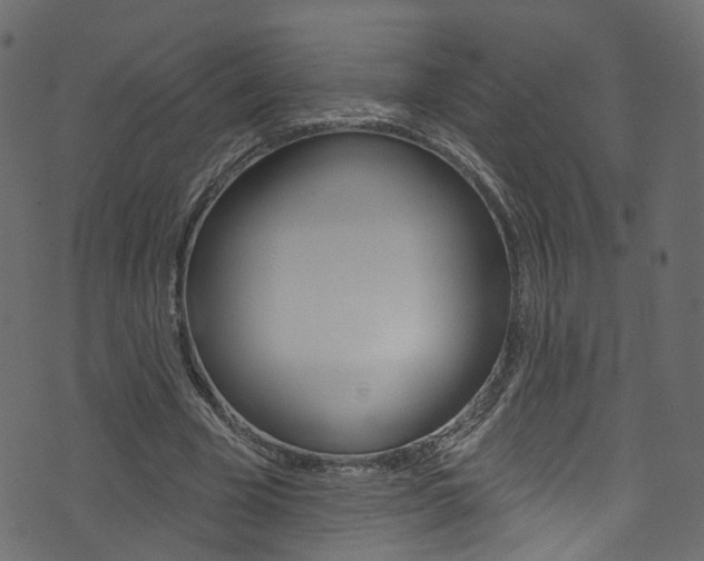 X0000074340585200608251047