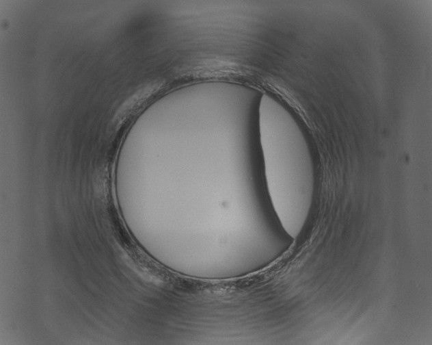 X0000074340586200608251047