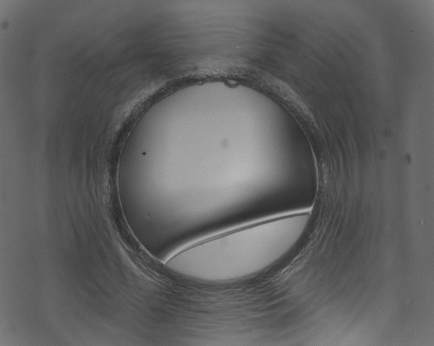 X0000074340588200608251047