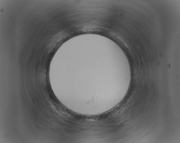 X0000074340592200608251047