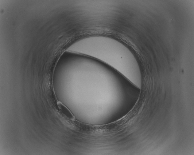 X0000074340593200608251047