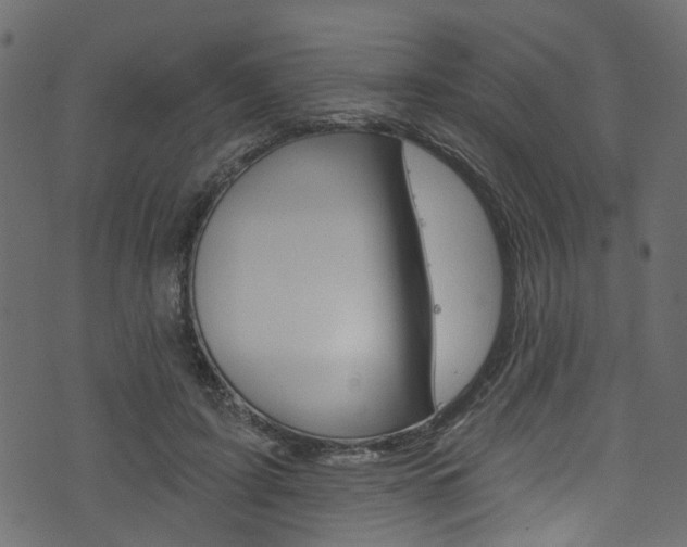 X0000074340595200608251047