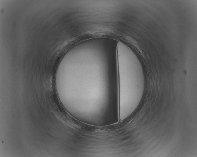 X0000074340596200608251047