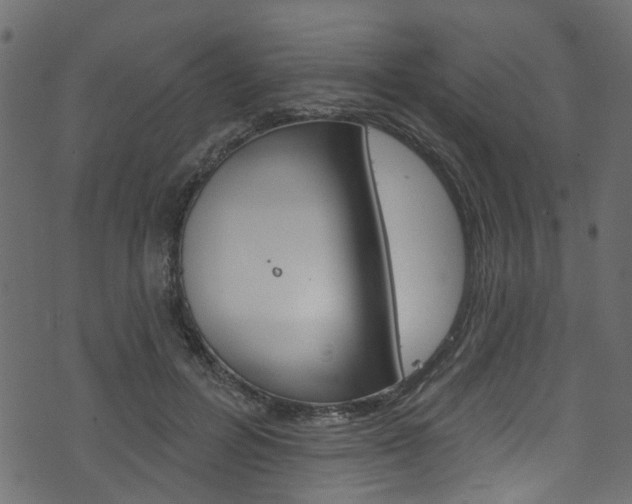 X0000074340600200608251047