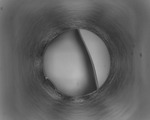 X0000074340601200608251047