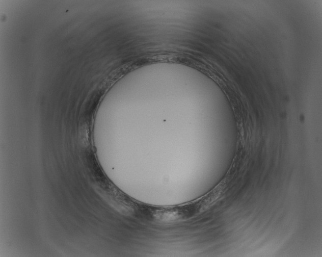 X0000074340602200608251047