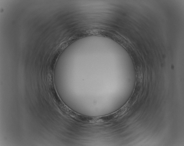 X0000074340603200608251047