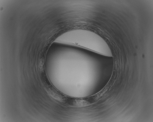 X0000074340605200608251047