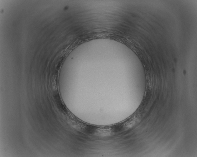 X0000074340606200608251047