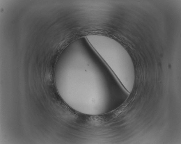 X0000074340608200608251047