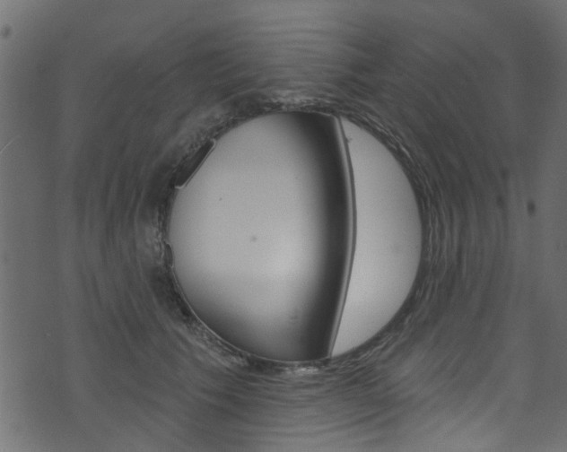 X0000074340609200608251047