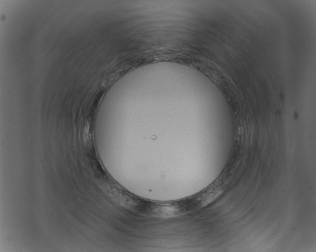 X0000074340610200608251047