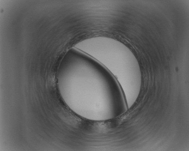 X0000074340613200608251047