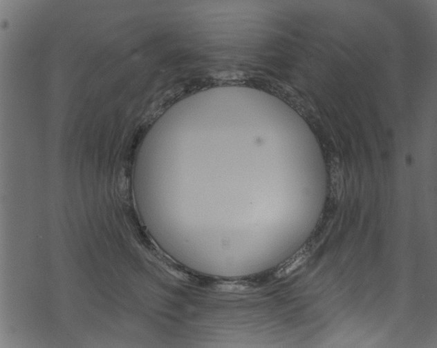 X0000074340614200608251047