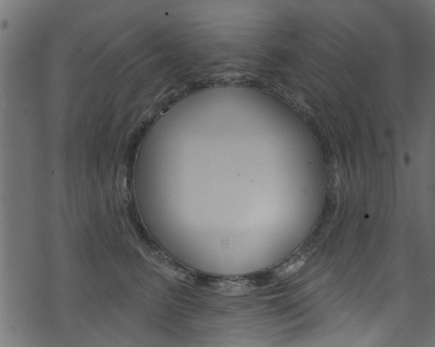 X0000074340615200608251047