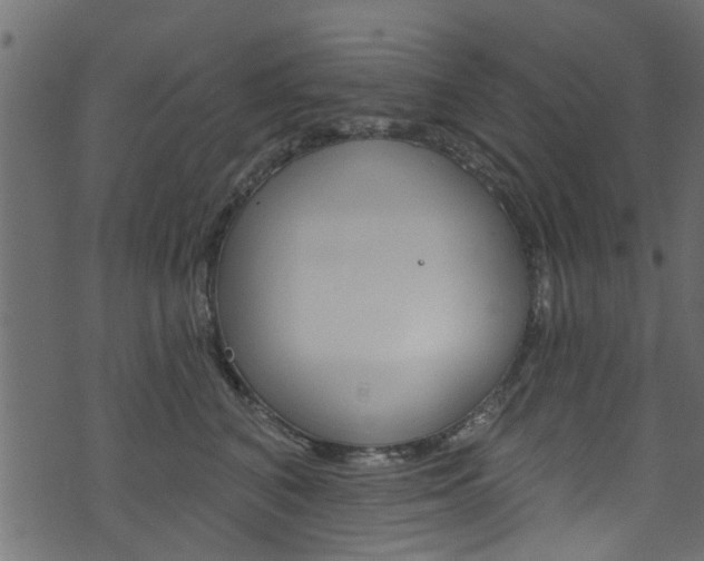 X0000074340616200608251047