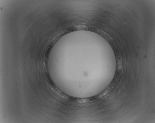 X0000074340618200608251047