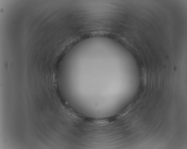 X0000074340619200608251047