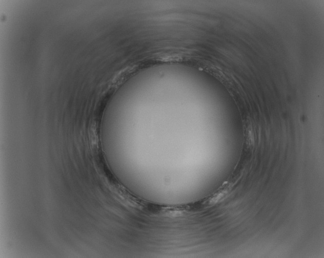 X0000074340620200608251047