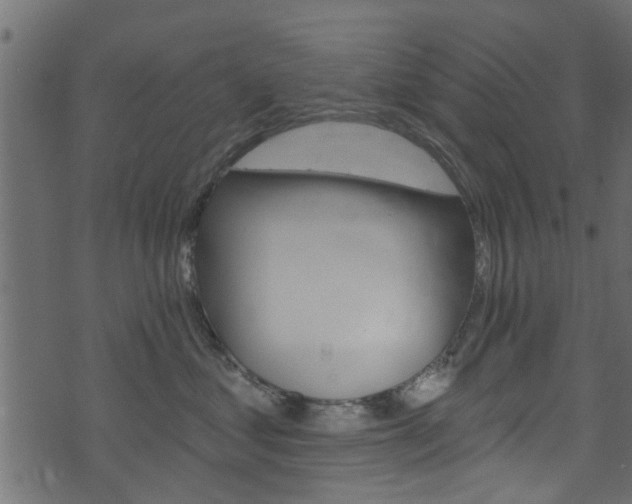 X0000074340621200608251047