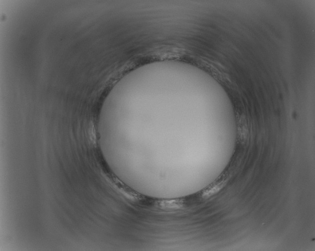 X0000074340622200608251047