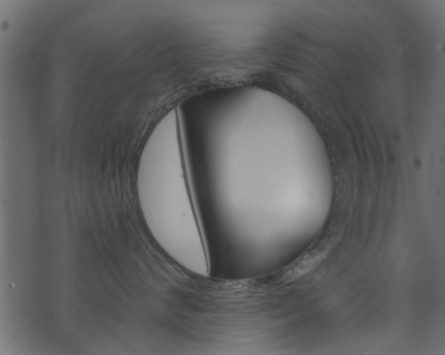 X0000074340624200608251047