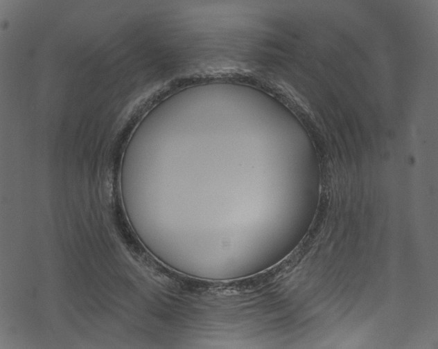 X0000074340640200608251046