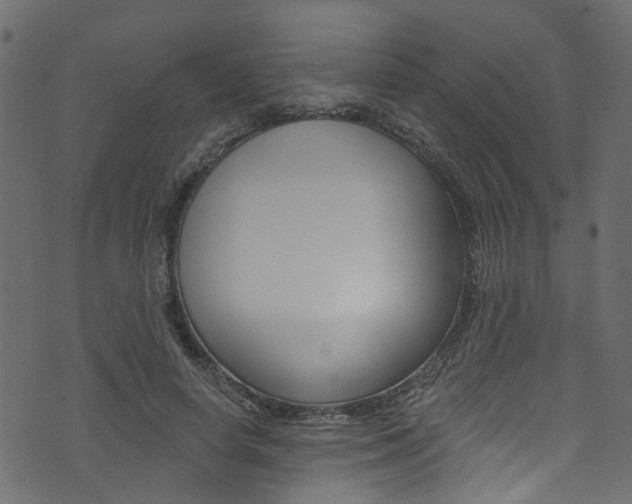 X0000074340642200608251046