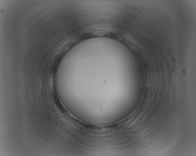 X0000074340646200608251046