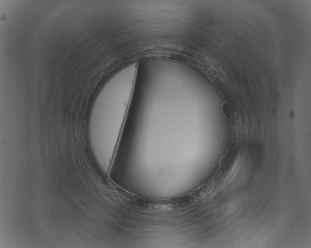 X0000074340649200608251046