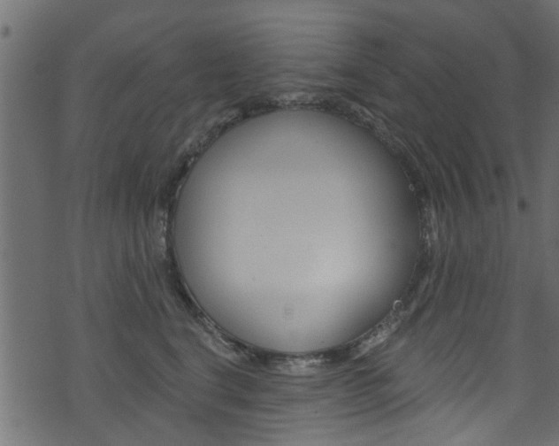 X0000074340664200608251047