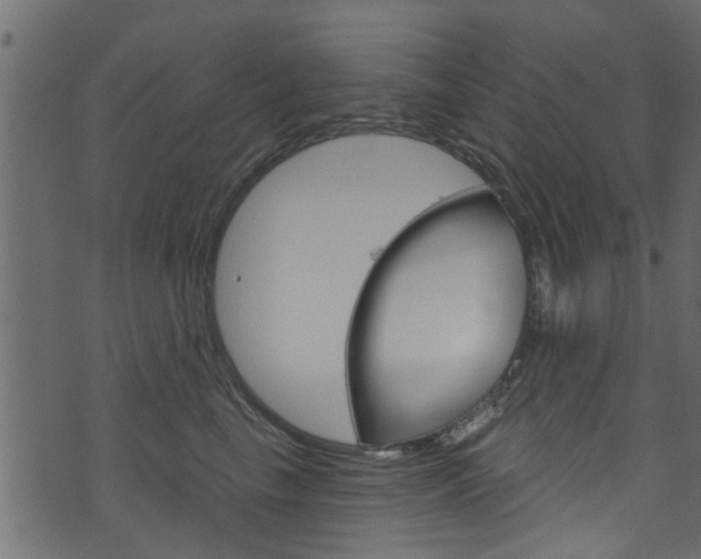 X0000074340665200608251047