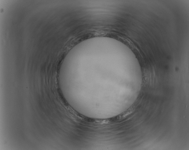 X0000074340667200608251047