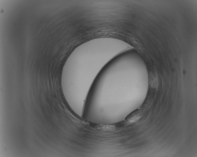 X0000074340670200608251047