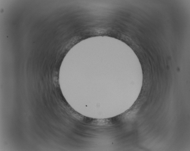 X0000074340672200608251047