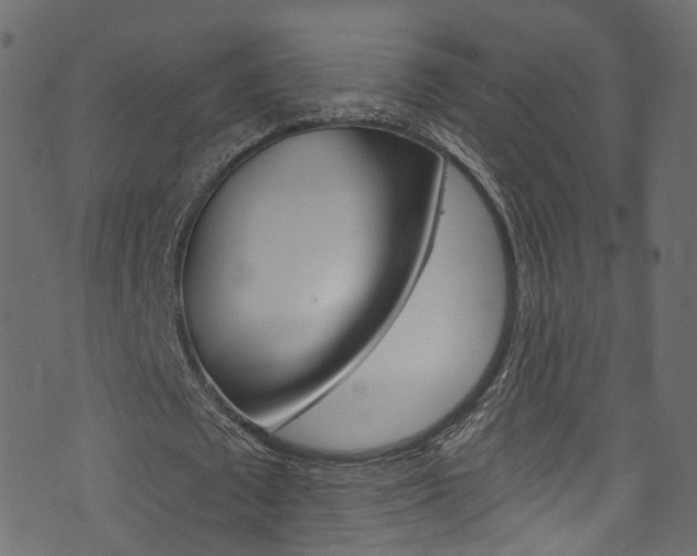 X0000074340673200608251046