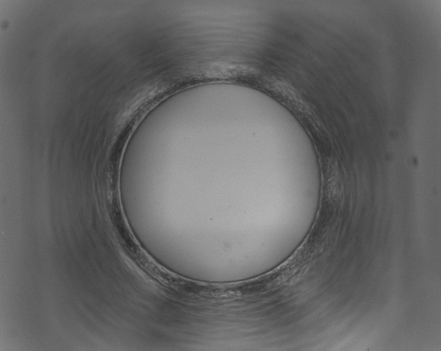 X0000074340683200608251046