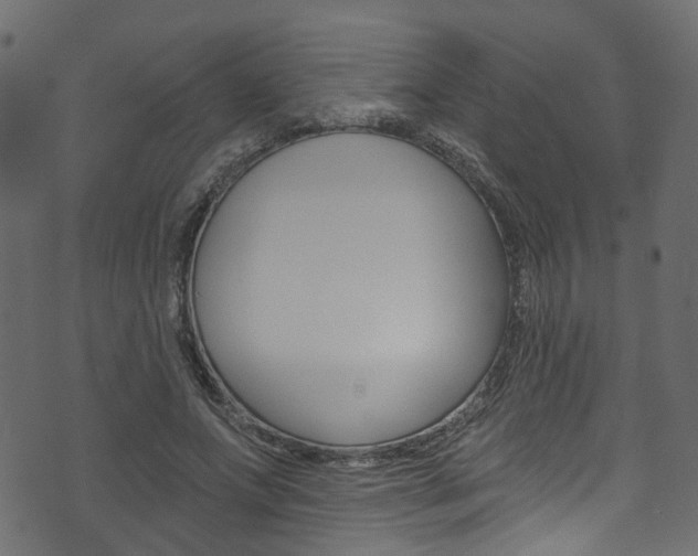 X0000074340687200608251046