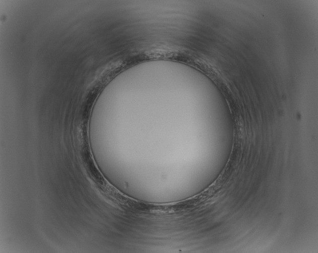 X0000074340690200608251046