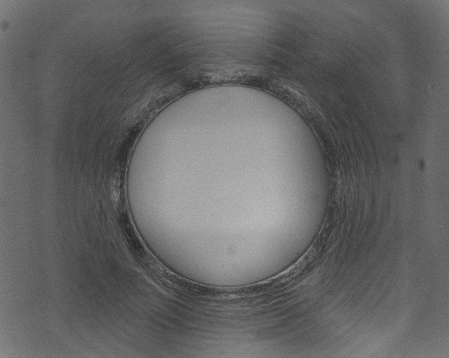 X0000074340691200608251046
